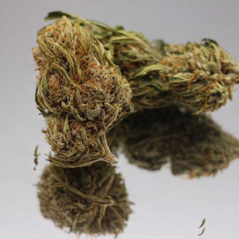 Fleur CBD Yuzu Orange bio aux reflets orangés. Chanvre premium aux arômes naturels d'agrumes