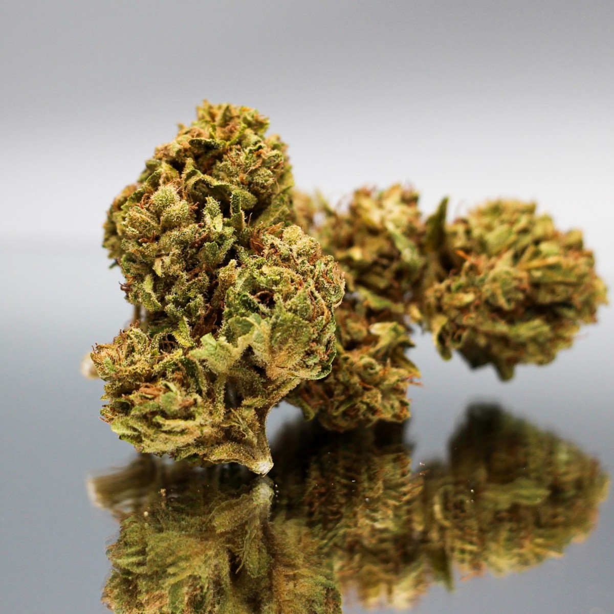 Fleur CBD RNA bio compacte et résineuse. Bourgeon de chanvre naturel pour une détente optimale
