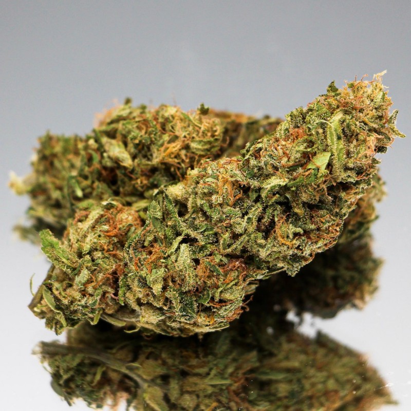 Fleur CBD Space Candy bio aux pistils clairs. Bourgeon de chanvre aux notes douces et sucrées