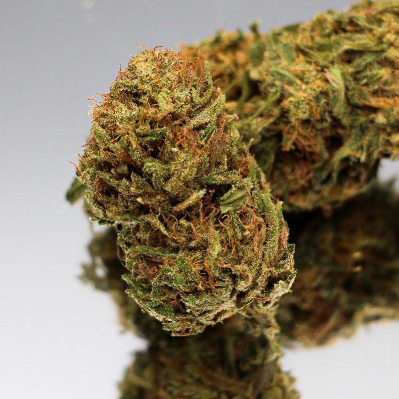 Fleur CBD Hawaiian Haze bio aux pistils fins. Chanvre premium aux notes exotiques et tropicales