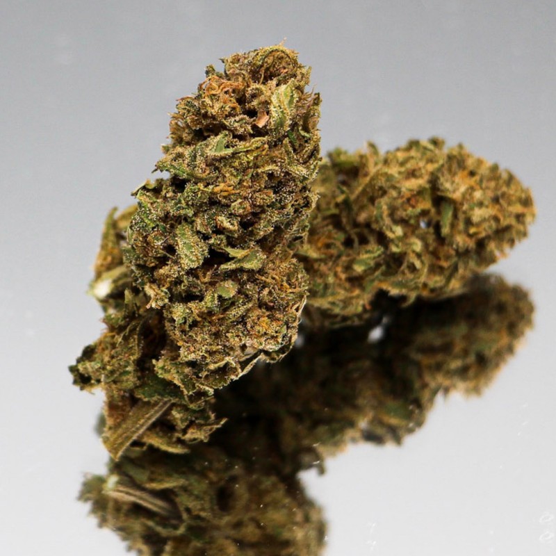 Fleur CBD Strawberry bio aux pistils orangés. Bourgeon de chanvre naturel aux notes fruitées