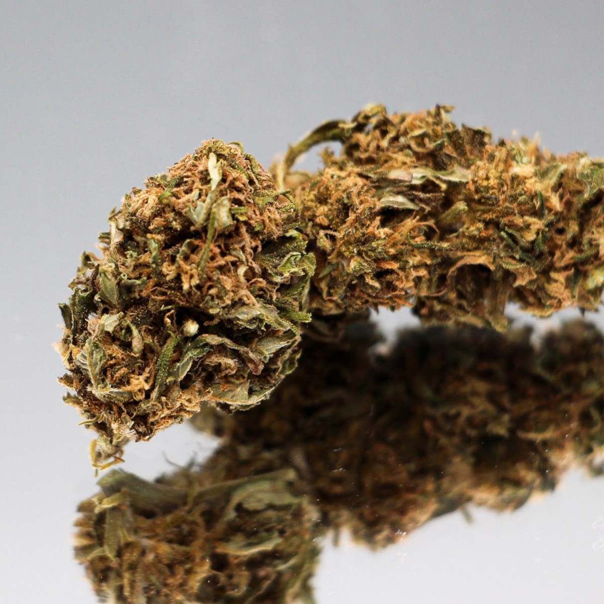 Fleur CBD OG Kush bio aux pistils ambrés. Bourgeon de chanvre aux arômes boisés et terreux