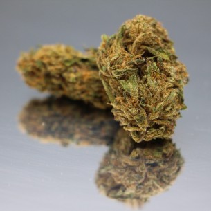 CBD HARLEQUIN - Fleurs de Canabis BIO - Direct Producteur