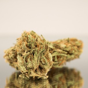 CBD SOUR BRULÉE - Fleurs de chanvre BIO - Direct Producteur