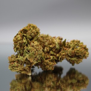 CBD SOUR RNA - Fleurs de Canabis BIO - Direct Producteur