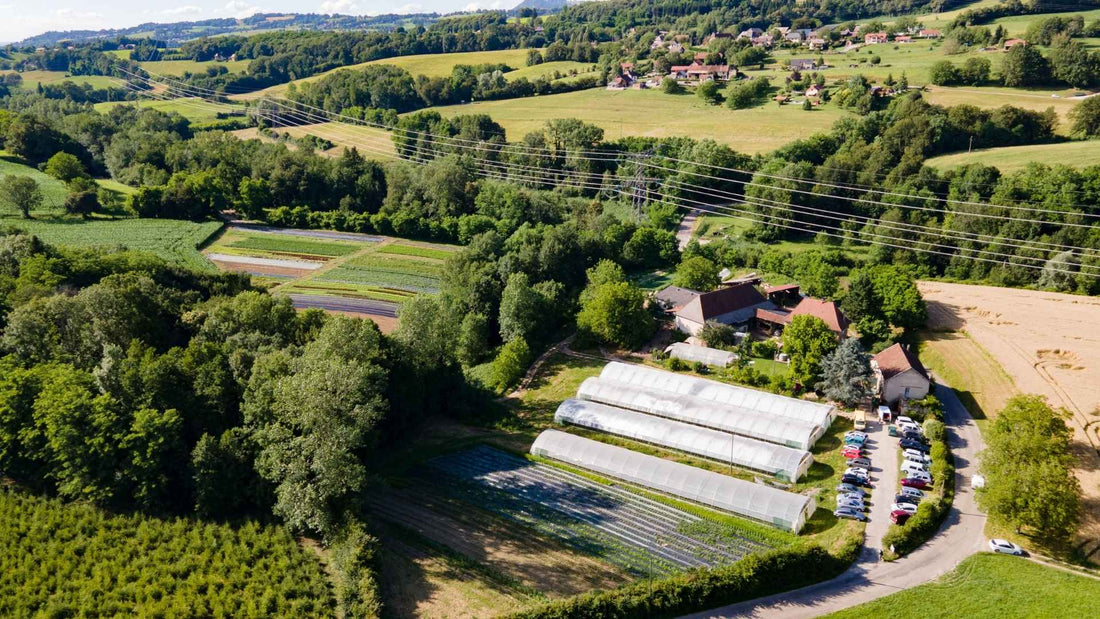 LA FERME