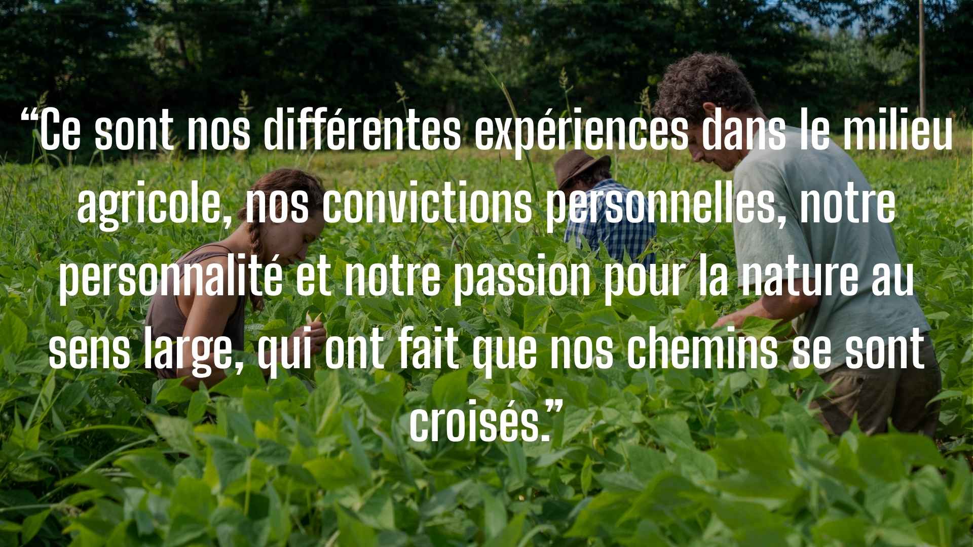 QUI SOMMES-NOUS ?
