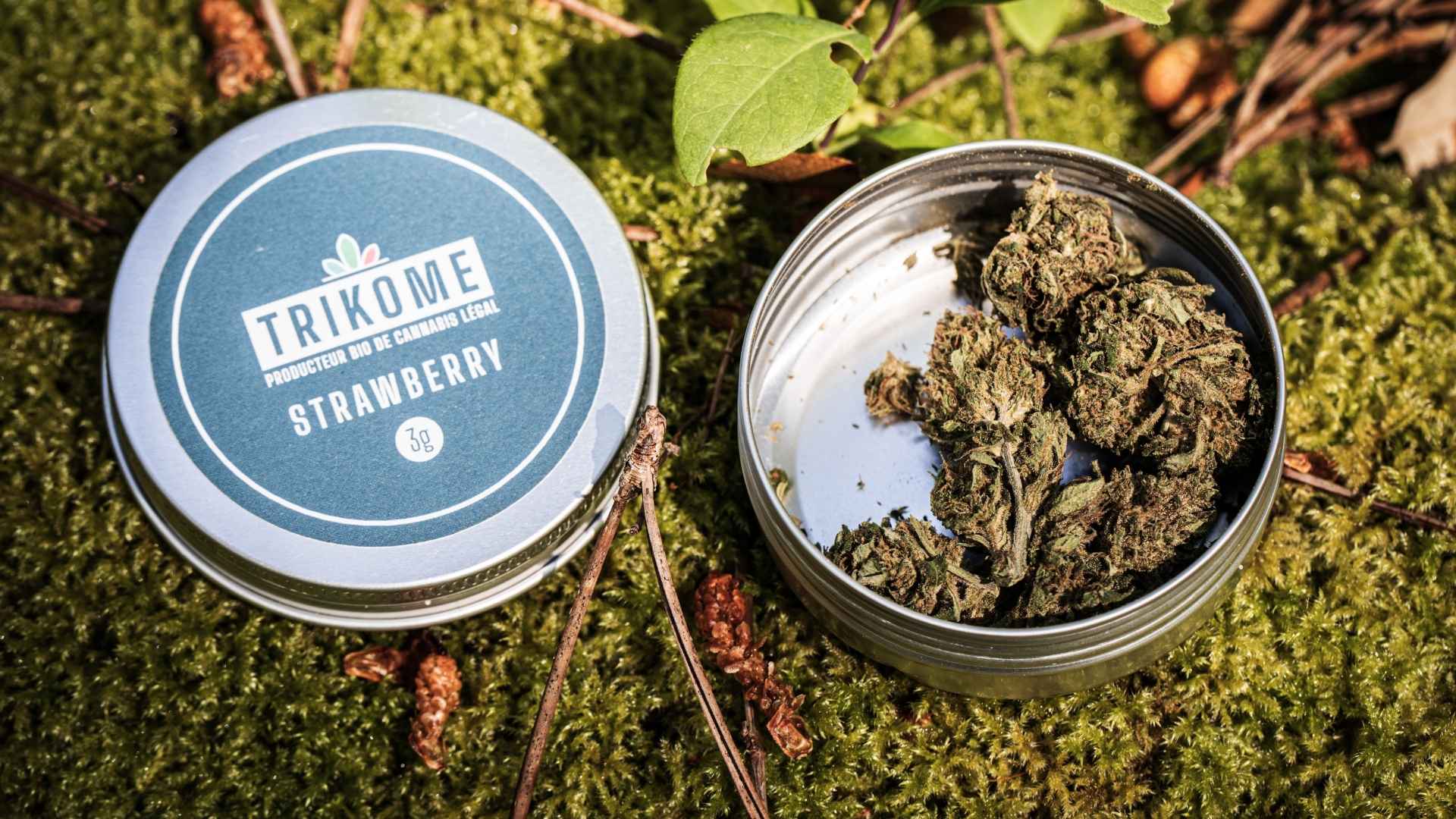 Fleurs CBD Bio