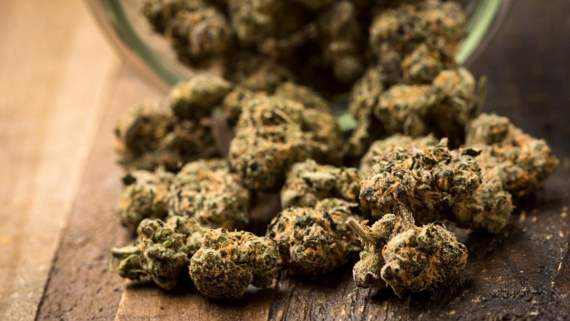 Fleurs CBD Bio Millésime