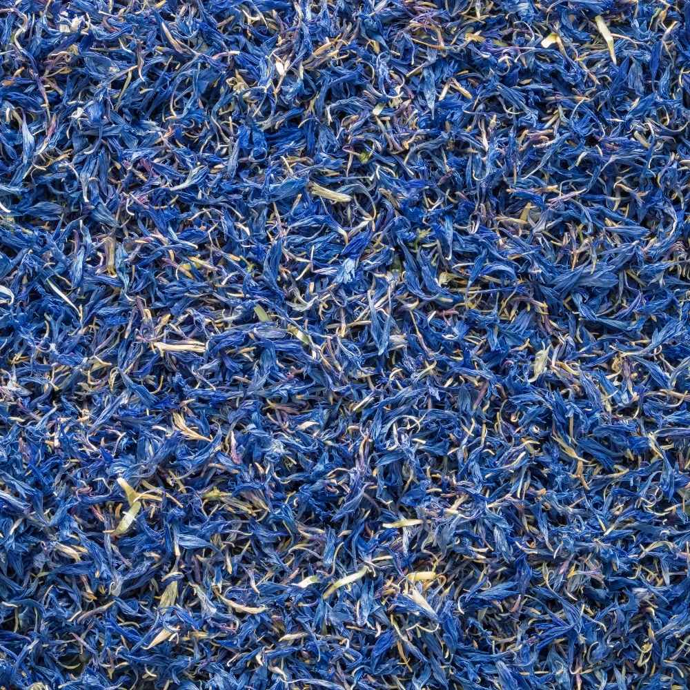 Fleurs de bleuet sechees pour tisane bio apportant une note florale delicate et une couleur naturelle.