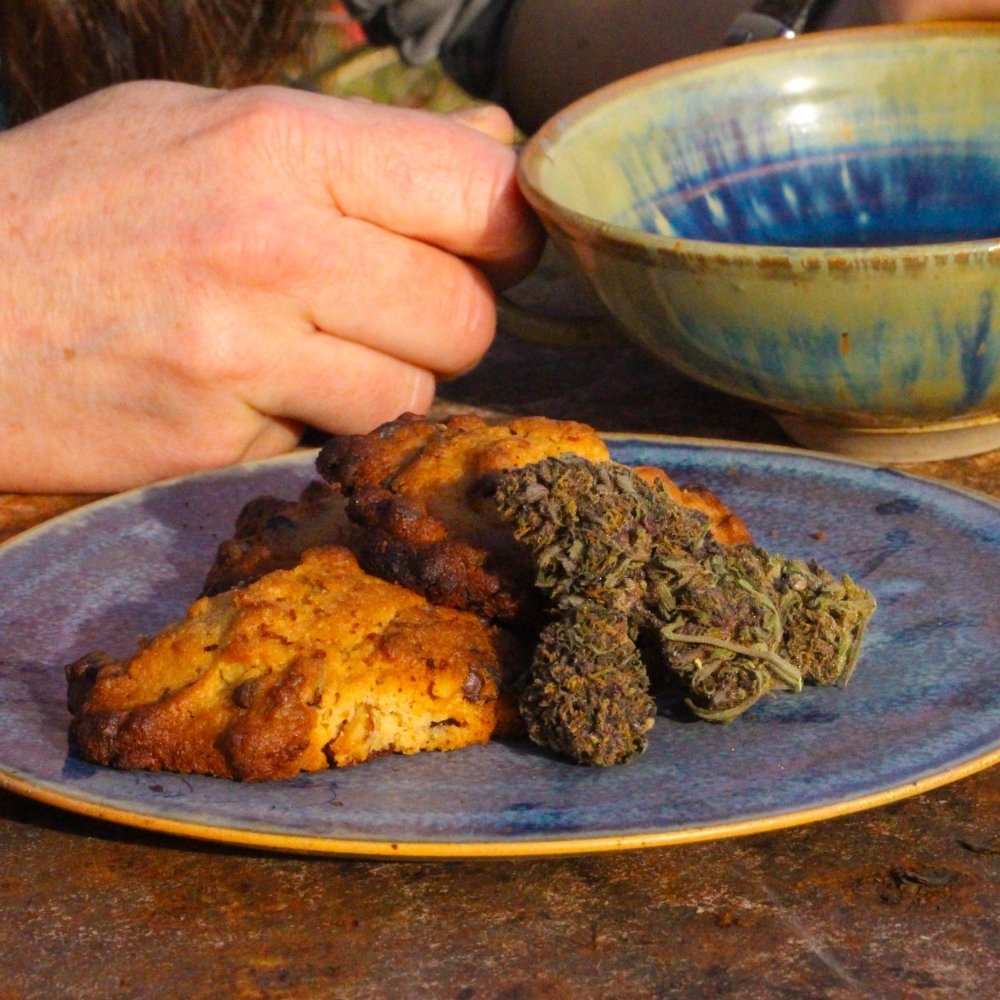 Illustration culinaire au format carré associant cookie maison et fleur CBD, exemple d’utilisation du chanvre en cuisine.