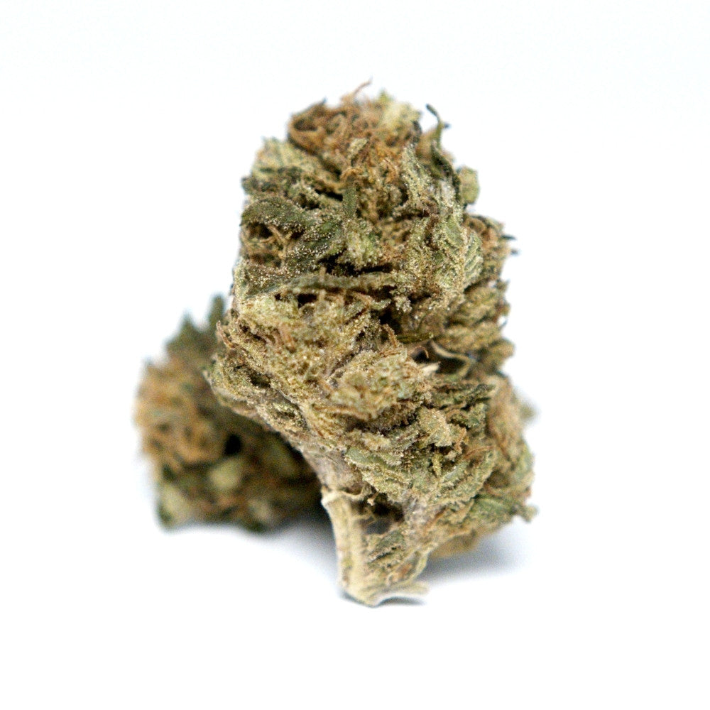 Photo fleur CBD Bleuberry montrant un bourgeon isole sur fond blanc.
