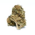 Photo fleur CBD Bleuberry montrant un bourgeon isole sur fond blanc.