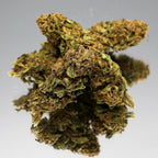 Fleur CBD Cannatonic bio aux nuances ambrées. Bourgeon de chanvre naturel pour un moment de détente