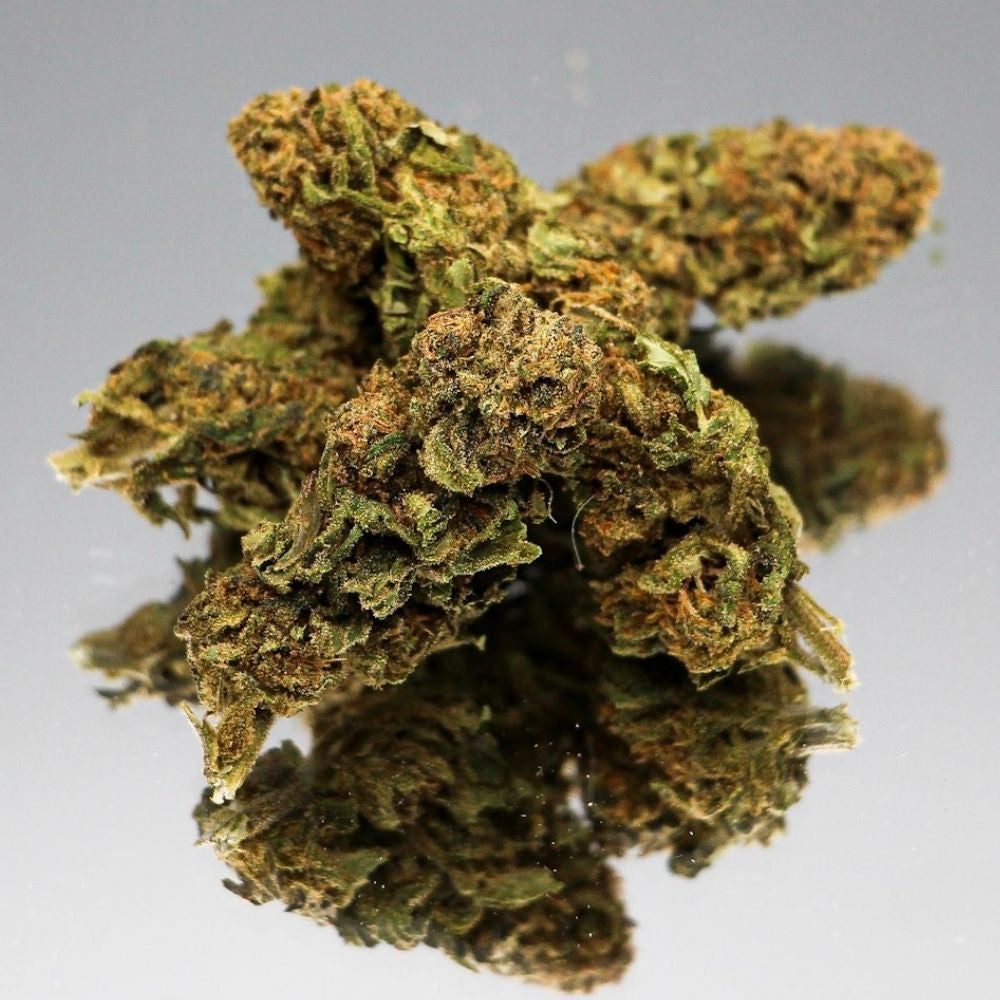 Fleur CBD Cannatonic bio aux nuances ambrées. Bourgeon de chanvre naturel pour un moment de détente