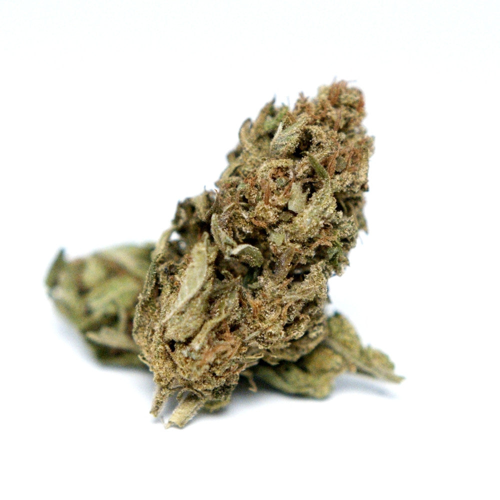 Photo fleur CBD Cannatonic montrant un bourgeon isole sur fond blanc.