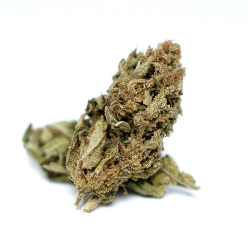 Photo fleur CBD Cannatonic montrant un bourgeon isole sur fond blanc.