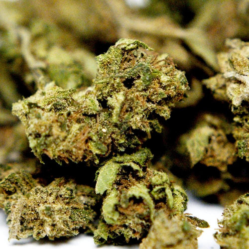 Zoom sur fleur CBD Cannatonic avec details des cristaux et feuilles proches du bourgeon.