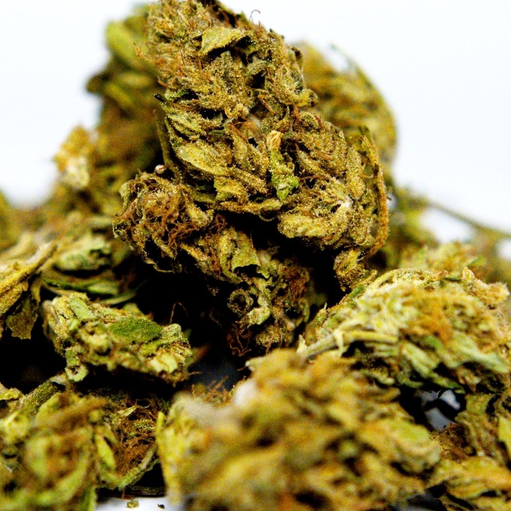 Zoom sur fleur CBD Elektra avec trichomes visibles en gros plan.