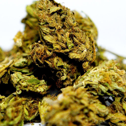 Zoom sur fleur CBD Elektra avec trichomes visibles en gros plan