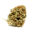 Photo fleur CBD Hawaiian presentant un bourgeon isole sur fond clair.