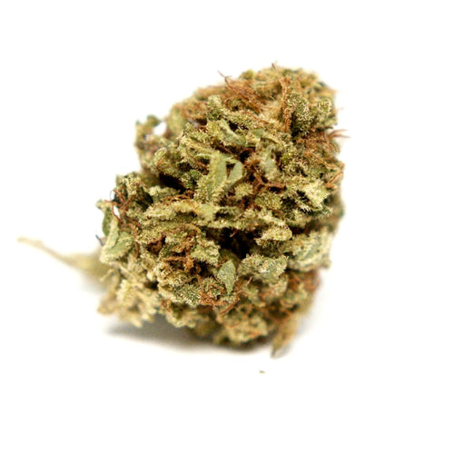 Photo fleur CBD Hawaiian presentant un bourgeon isole sur fond clair.