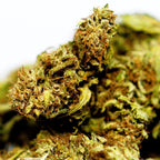 Zoom detaille sur fleur CBD Hawaiian avec mise en avant des cristaux.