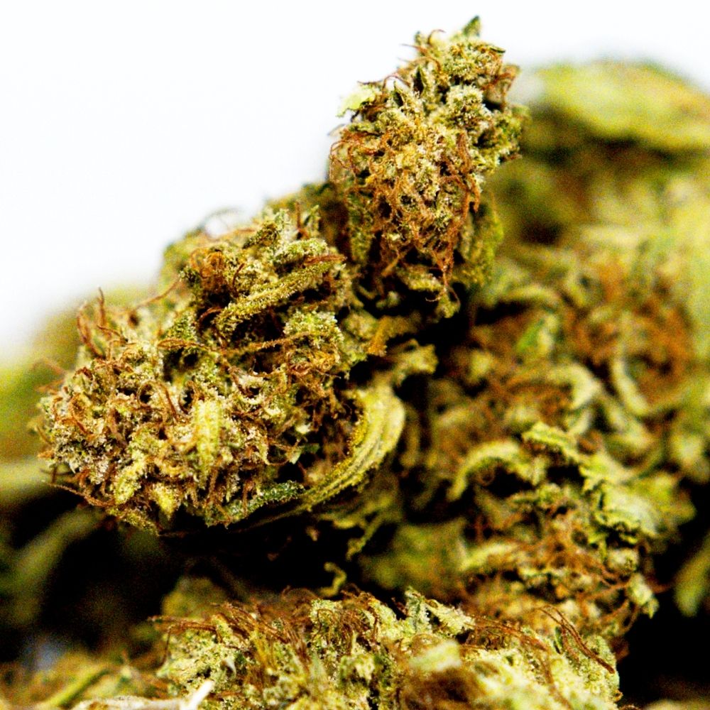 Zoom detaille sur fleur CBD Hawaiian avec mise en avant des cristaux.