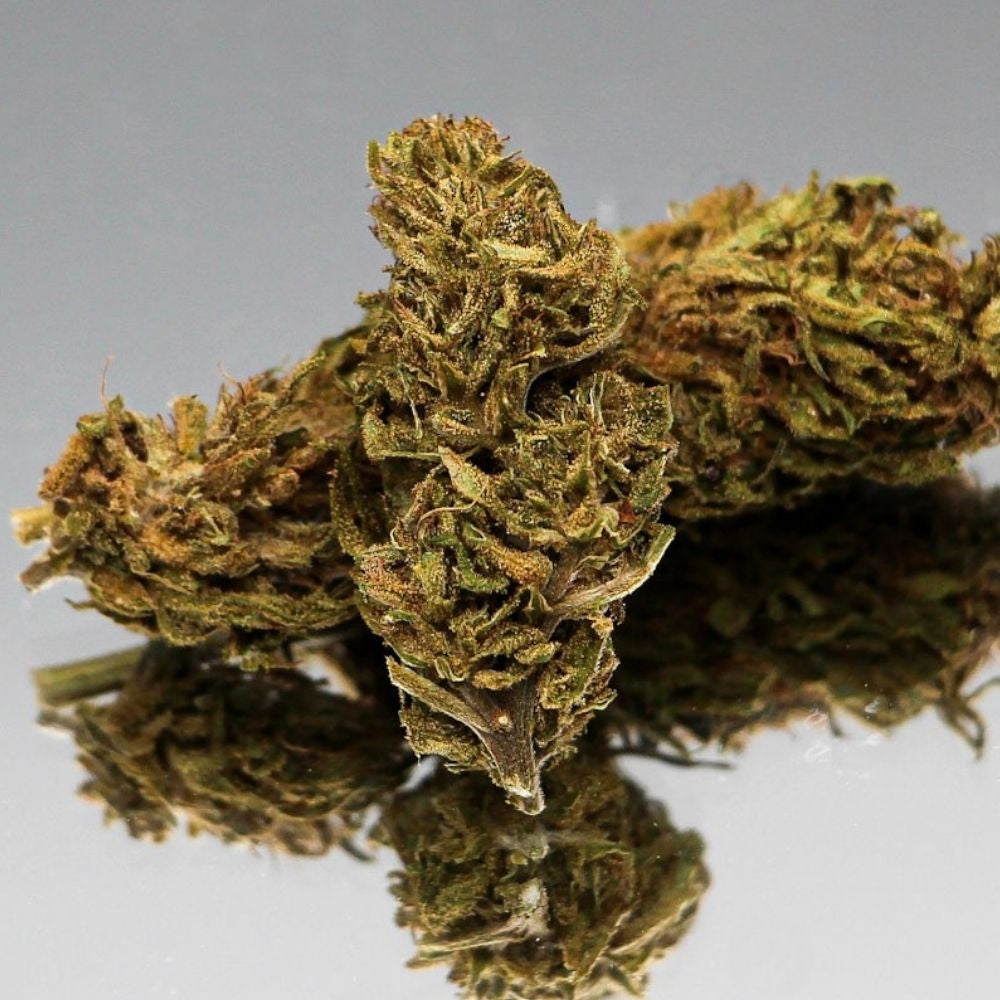 Fleur CBD Limoncello bio aux reflets ambrés. Chanvre naturel aux arômes frais et citronnés