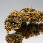 Fleur CBD OG Kush bio aux pistils ambrés. Bourgeon de chanvre aux arômes boisés et terreux