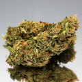 Fleur CBD Space Candy bio aux pistils clairs. Bourgeon de chanvre aux notes douces et sucrées