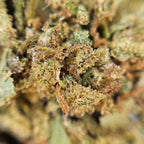 Macro fleur CBD Space Candy avec gros plan sur trichomes et feuilles resineuses.
