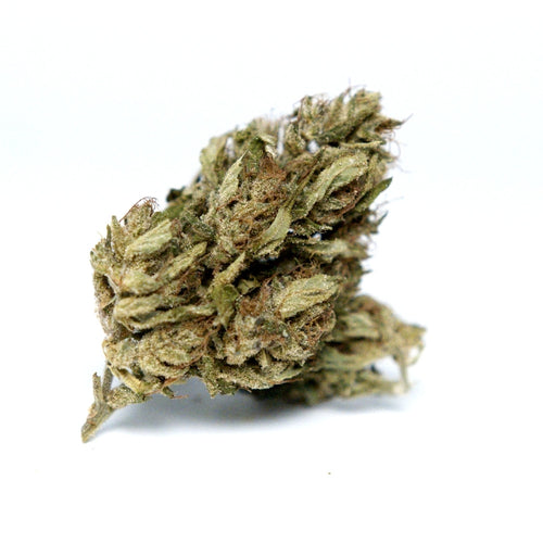 Photo fleur CBD Space Candy montrant plusieurs bourgeons sur fond blanc.