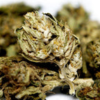 Zoom detaille sur fleur CBD Space Candy avec trichomes et feuilles proches du bourgeon.