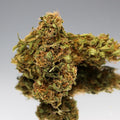 Fleur CBD Suver Haze bio riche en trichomes. Chanvre naturel aux arômes boisés et terreux
