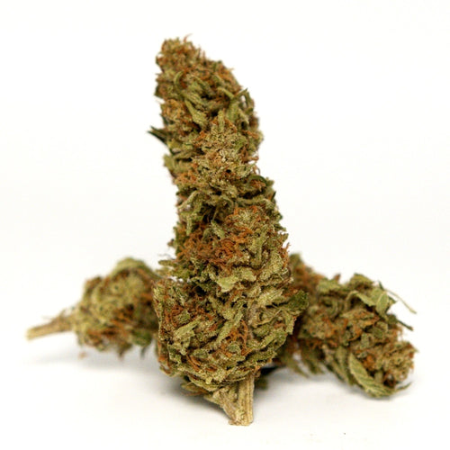 Photo fleur CBD Yuzu Orange avec bourgeon isole sur fond blanc.