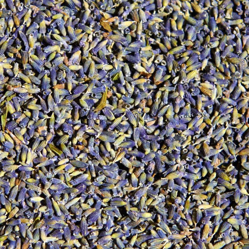 Fleurs de lavande sechees issues d agriculture biologique pour infusion aux notes florales et apaisantes.