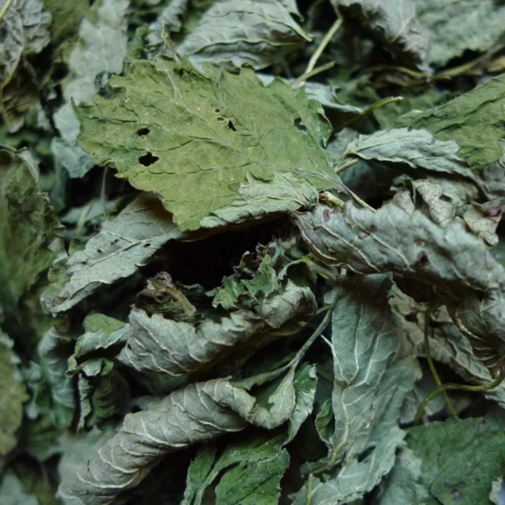 Feuilles de melisse sechees pour tisane bio aux arômes vegetaux doux et equilibrés.