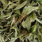 Feuilles de sauge ananas sechees pour tisane bio aux notes vegetales et subtilement fruitées.