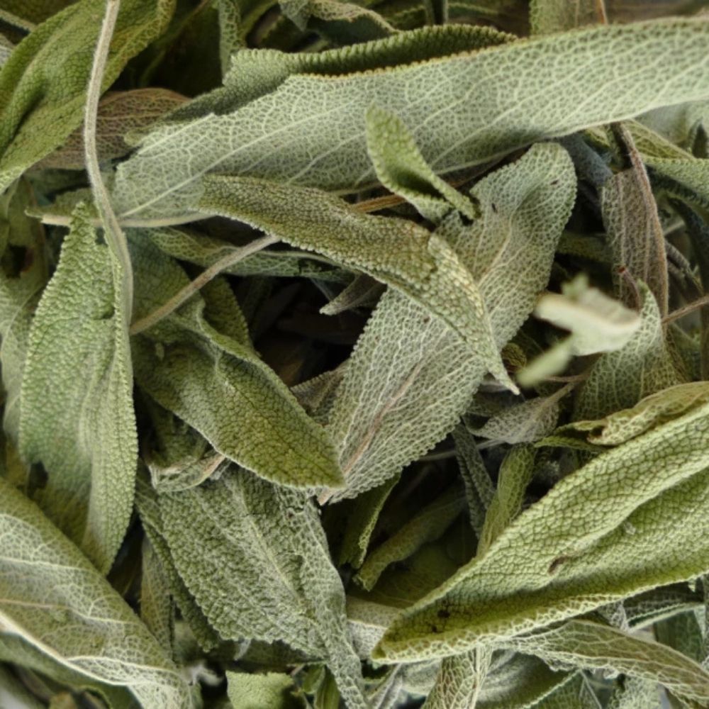 Sauge officinale sechee issue d agriculture biologique pour infusion aux arômes herbacés et intenses.
