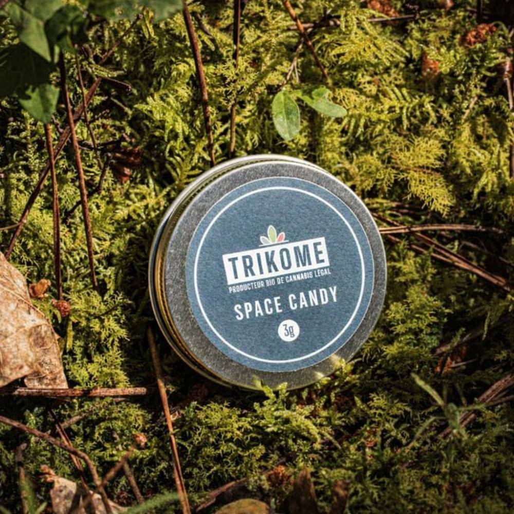 Boite metal Trikome Space Candy 3g photographiee sur mousse naturelle.