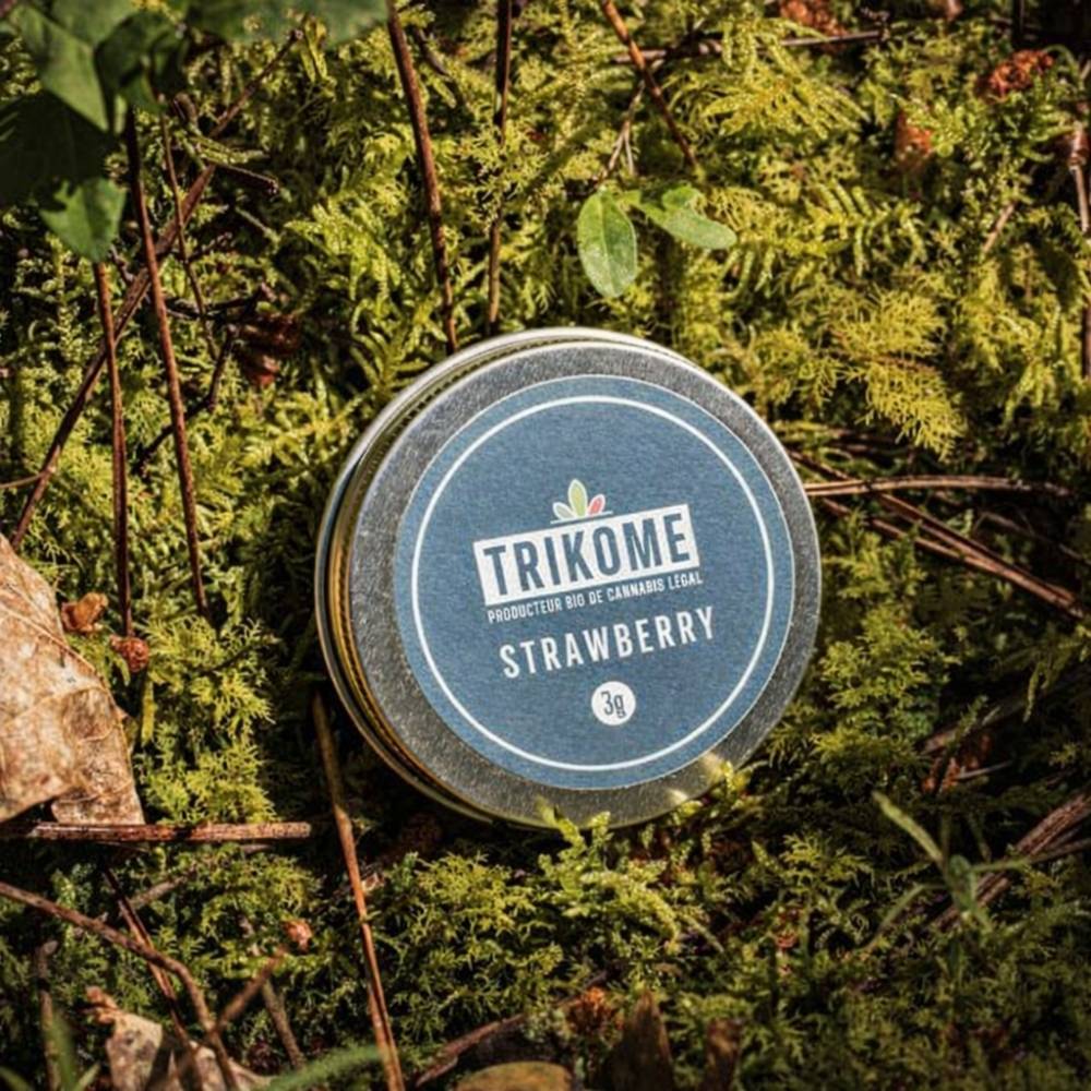 Boite metal Trikome Strawberry 3g photographiee sur mousse et vegetation naturelle.
