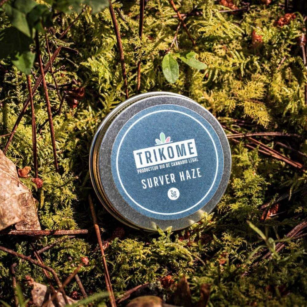 Boite metal Trikome Surver Haze 3g sur mousse verte en environnement naturel.