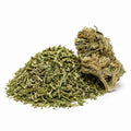 Trim CBD bio avec une bud de Blueberry posée à côté sur fond blanc, mélange de feuilles fines et fragments de chanvre.