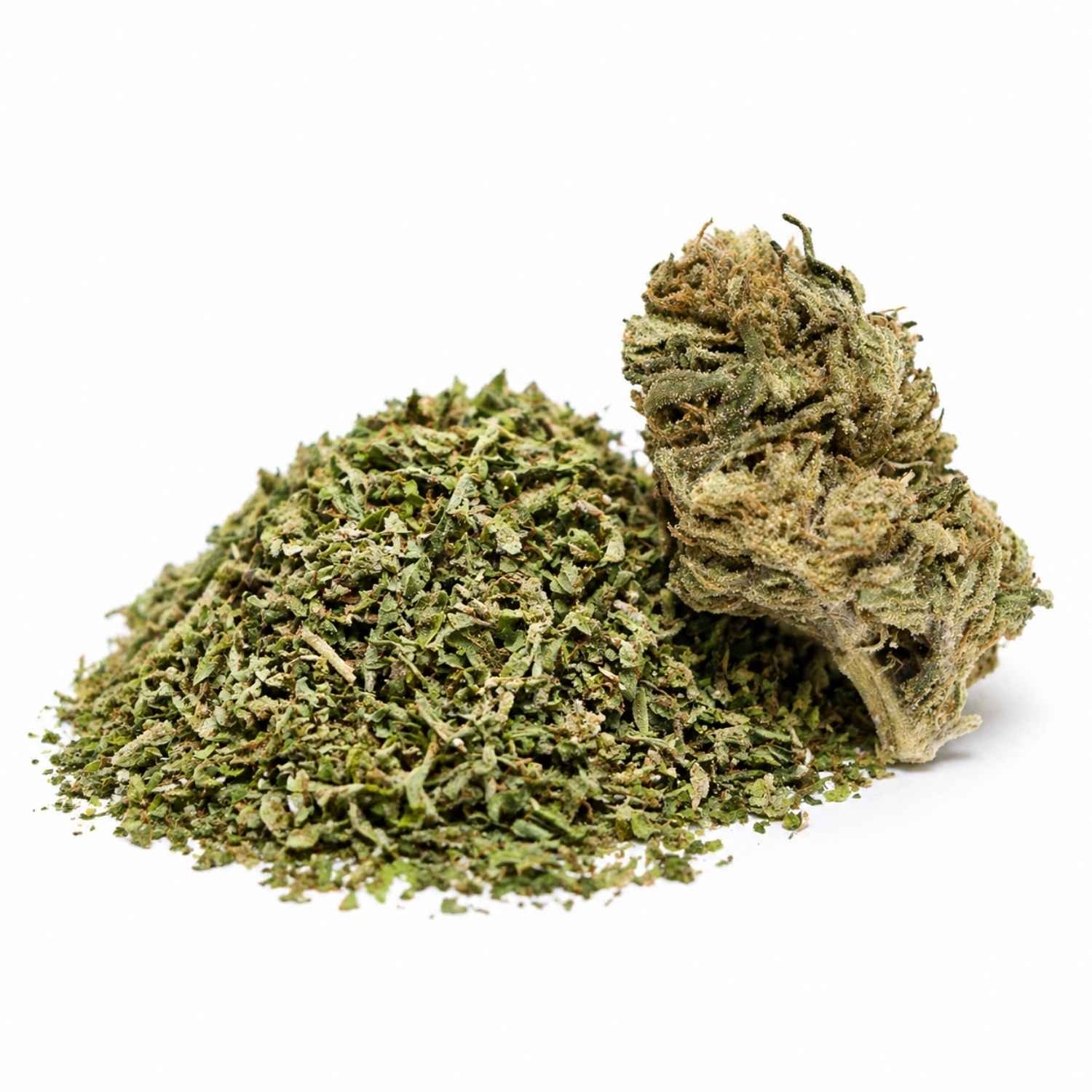 Trim CBD bio avec une bud de Blueberry posée à côté sur fond blanc, mélange de feuilles fines et fragments de chanvre.