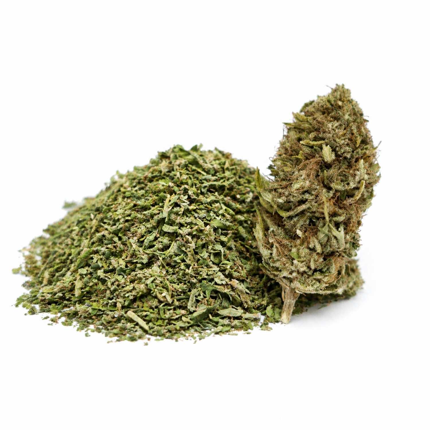 Trim CBD bio accompagnée d’une bud résineuse type Brûlée sur fond blanc, texture végétale fine et naturelle.
