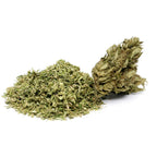 Trim CBD bio Space Candy avec feuilles fines et une bud dense posée à côté sur fond blanc.