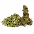 Trim CBD bio Yuzu Orange avec fragments végétaux et une bud aux pistils orangés sur fond blanc.