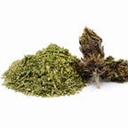 Trim CBD bio Yuzu Purple avec feuilles broyées et une bud aux nuances violettes sur fond blanc.