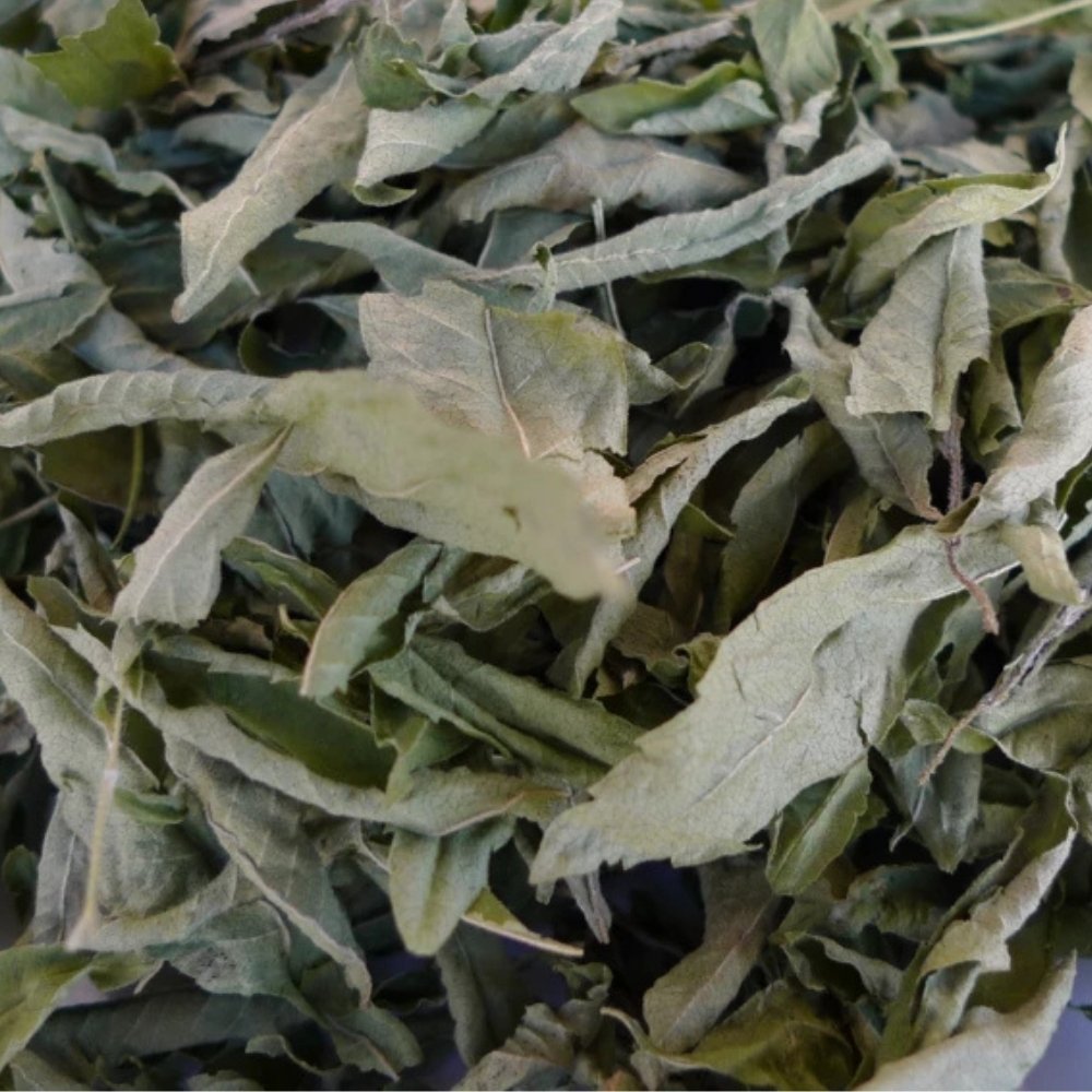 Feuilles de verveine sechee issues d une agriculture biologique locale pour infusion naturelle et aromatique.